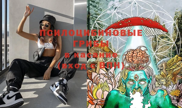 мескалин Нягань