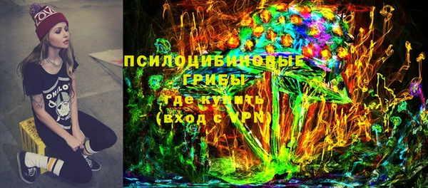 ПСИЛОЦИБИНОВЫЕ ГРИБЫ Верея