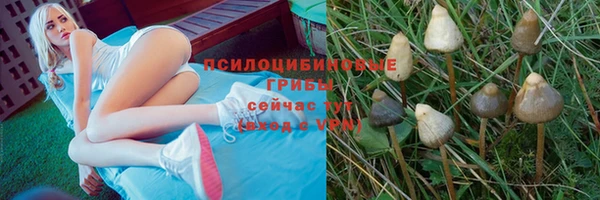 jwh Новодвинск