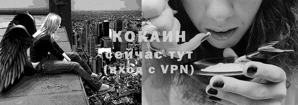 2c-b Новозыбков