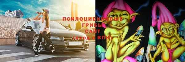 2c-b Новозыбков