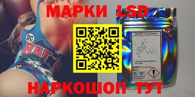 крисы Аргун
