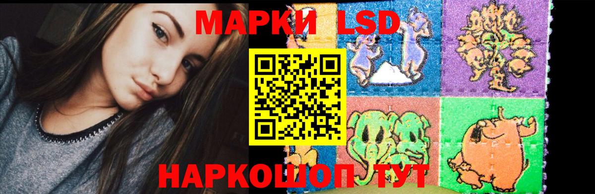 Псилоцибиновые грибы Братск