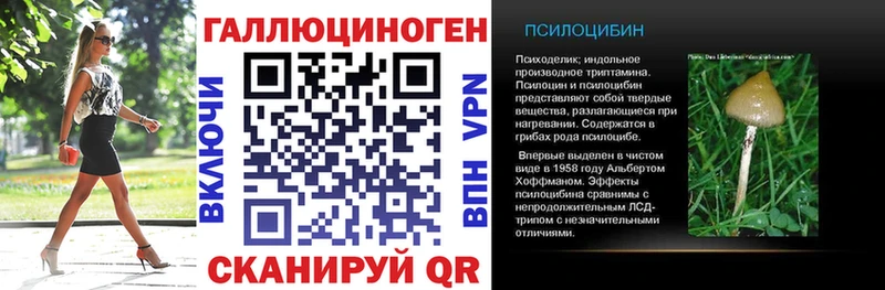 даркнет сайт  это как зайти  Псилоцибиновые грибы мухоморы  Братск 