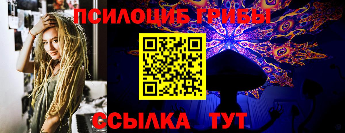 Братск  Псилоцибиновые грибы мицелий  Галлюциногенные грибы ЛСД  Вход с VPN 
