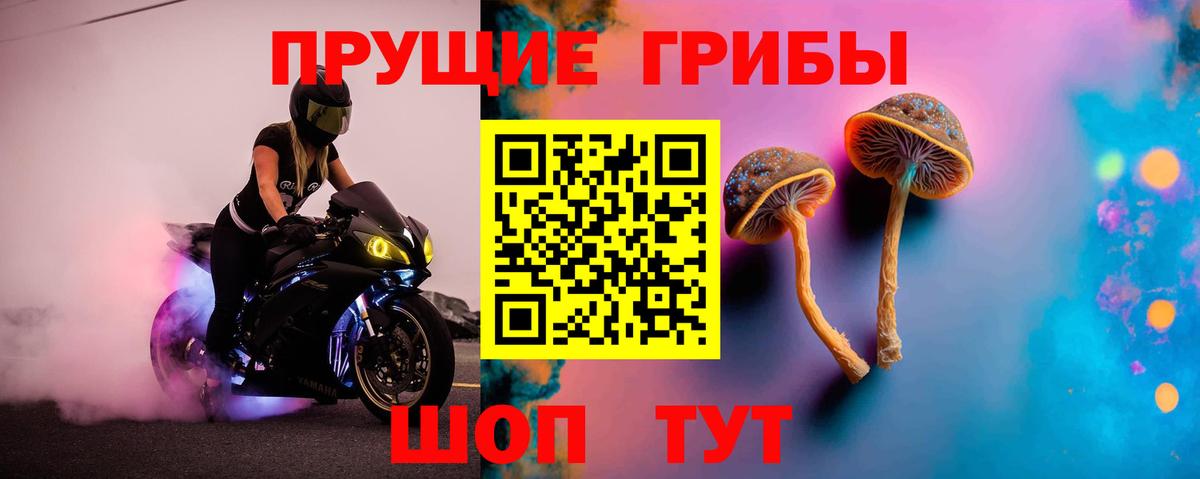 Псилоцибиновые грибы Psilocybine cubensis Братск